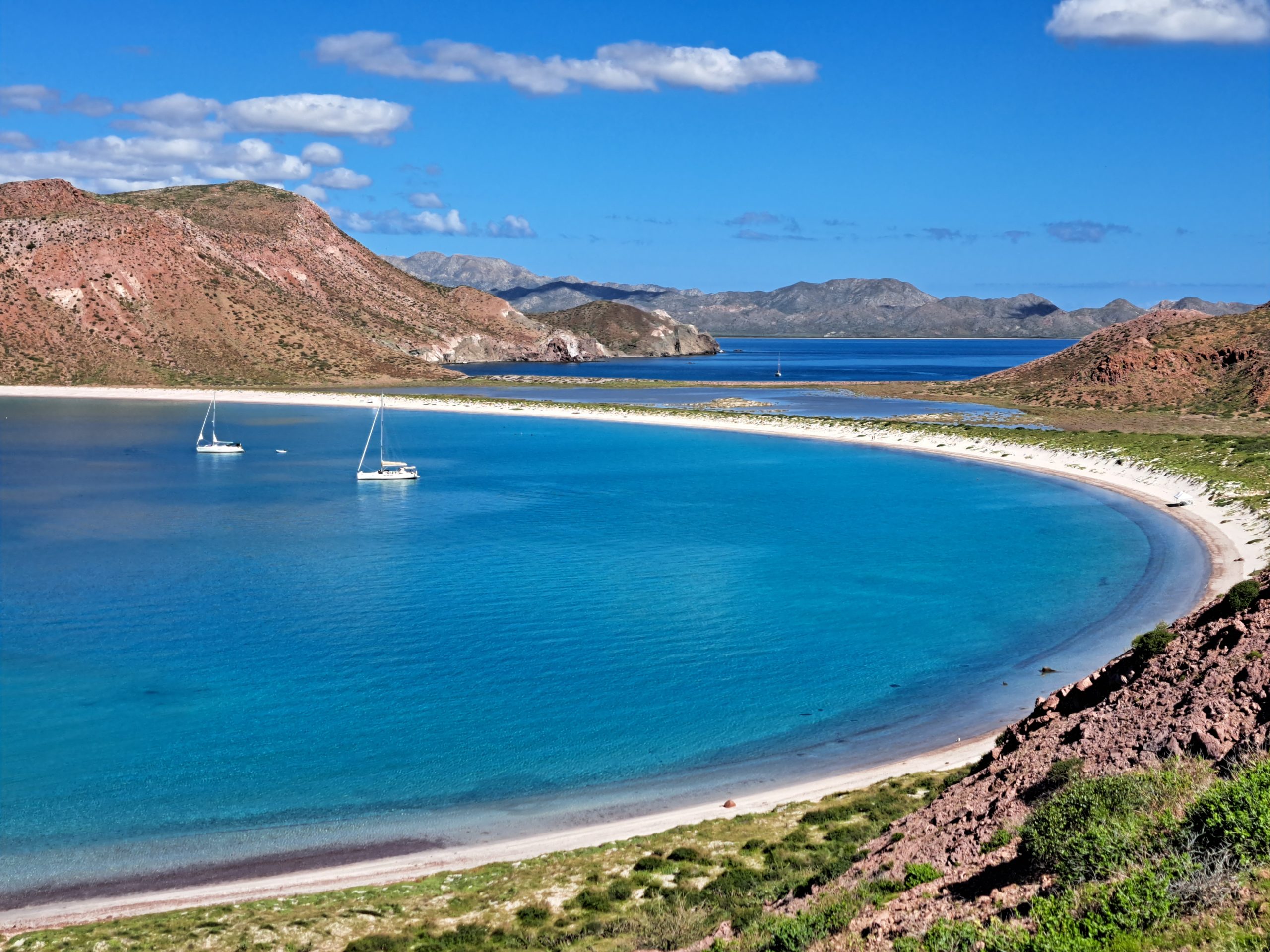 Sailing in the Sea of Cortez