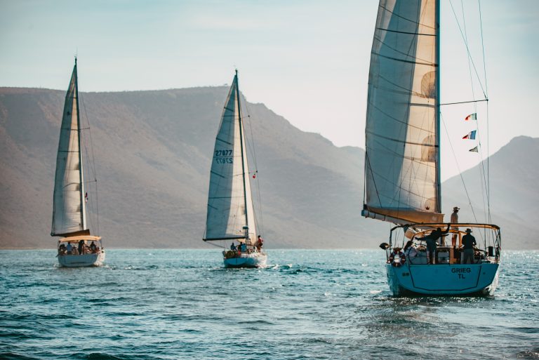 Flotilla Sailing in the Sea of Cortez