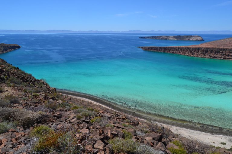 End the year sailing the Sea of Cortez!
