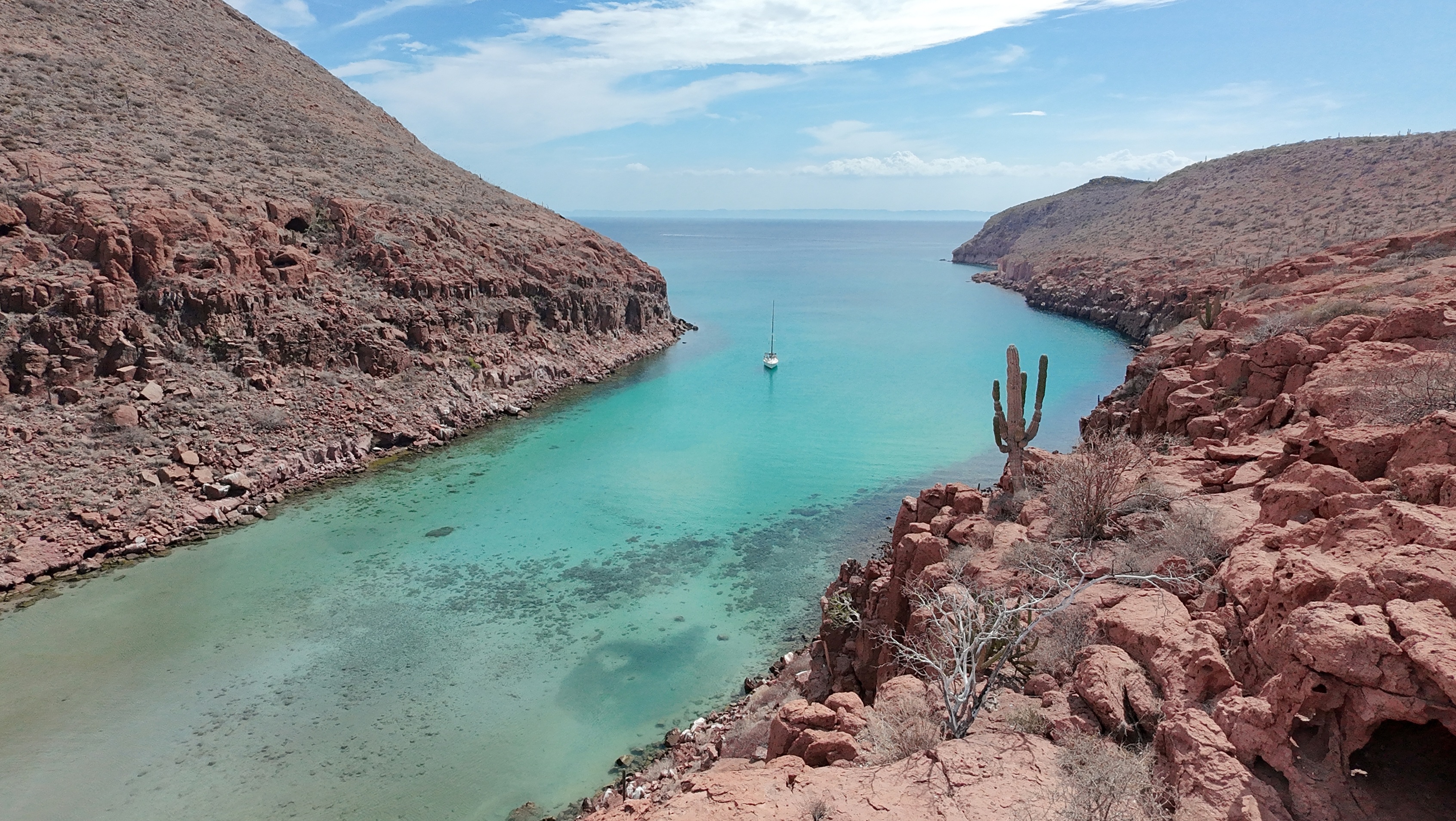 End the year sailing the Sea of Cortez!